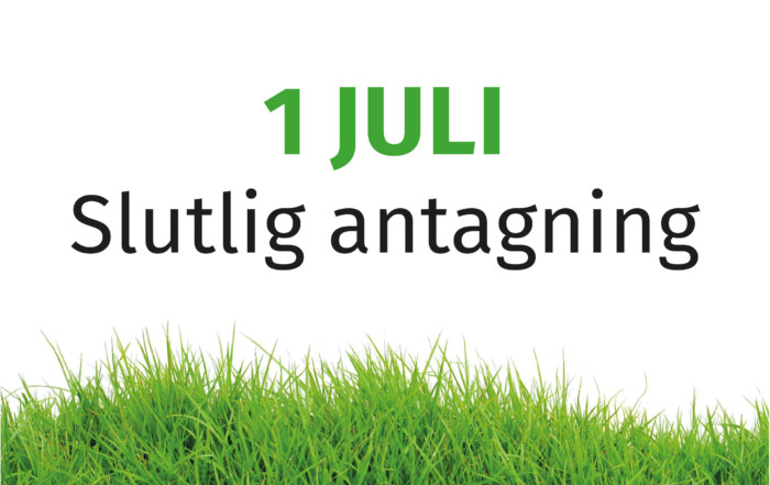 Bild på gräs och rubriken "1 juli - slutlig antagning"